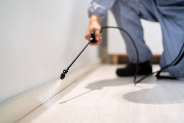 Licensed Pest Control service in Barnesville, OH - Show Me Pest Control
