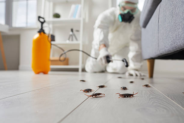 Commercial Kitchen Cockroach Control in Barnesville